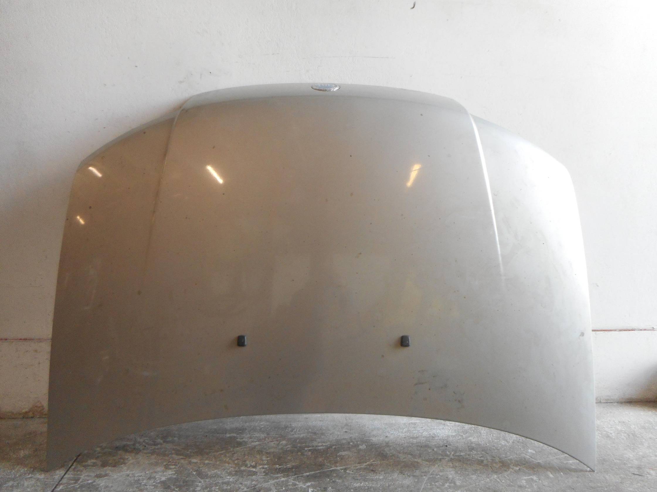 Asta ammortizzante portello post. sx.